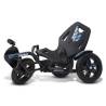 Kart copii Berg Street-X Vibe 4 - 12 ani +