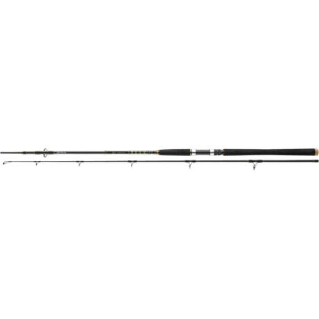 Lanseta DAIWA BG Boat 2.40m, 150-400g, 2 tronsoane