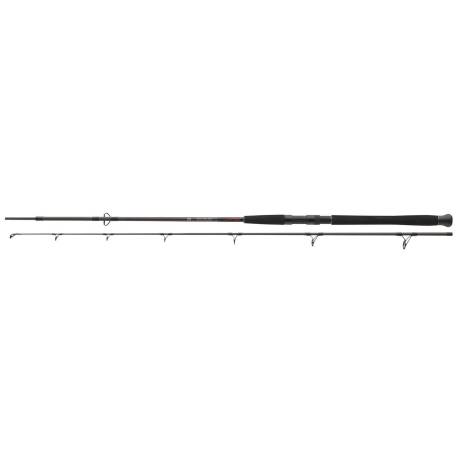 Lanseta spinning DAIWA Exceler Catfish 2.70m, 185g, 2 tronsoane