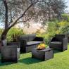 Set mobilier gradina BICA Nebraska 2 grafit, 4 persoane