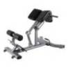 Aparat abdomene TOORX Professional WBX 2600, max. 150kg