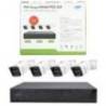 Kit supraveghere video PNI House IPMAX POE 3LR, NVR cu 4 camere cu IP si HDD 1Tb