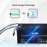 Baterie LiFePO4 RENOGY 12V 200Ah, Bluetooth integrat