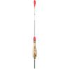 Waggler JAXON JB 6g