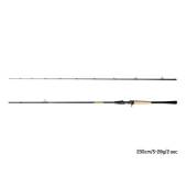 Lanseta DELPHIN Zandera B-Cast 2.30m, 5-28g, 2 tronsoane
