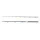 Lanseta DELPHIN Hazard 3.10m, 500g, 2 tronsoane