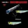 Vobler APIA Hydro Upper 55S, 5.5cm, 5.5g, culoare 10 CH Mojito
