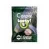 Aditiv SENSAS Carpix Tasty Garlic 300g
