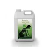 Esenta CAMYLLE pentru bai de aburi eucalipt si menta 5000ml