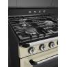 Aragaz SMEG TR90P2