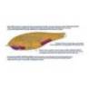 Vobler BABYFACE JB150-S 15cm, 75g, culoare 10 Perch