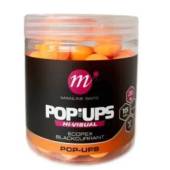 Pop-up MAINLINE FLUO SCOPEX & BLACKCURRANT 15mm/250ml