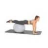 Minge exercitii fitness SCHILDKROT 65cm