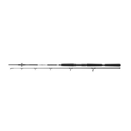 Lanseta DAIWA BG Offshore Pilk 2.70m, 40-125g, 2 tronsoane