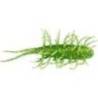 Naluci soft HIDEUP Coike Shrimp 6.5cm, culoare 111 Chart Green Gold Flake, 5buc/plic