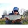 Shad FISHUP Wizzy 3.5cm, culoare 016 Lox Green&Black, 10buc/plic