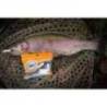 Grub FISHUP Pupa Cheese 3.8cm, culoare 139 Earthworm Hot Pink
