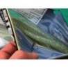 Keitech Easy Shaker Sexy Shad 426