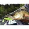 Shad KEITECH Easy Shiner 20cm, Chartreuse Lime 62, 2buc/plic