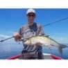 Lanseta FAVORITE Blue Bird BB1-732UL-S 2.19m 1-7g 2 tronsoane