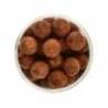 Boilies de carlig critic echilibrat SELECT BAITS Crab & Krill 20mm