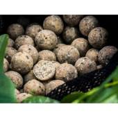 Boilies SELECT BAITS Nutty Scopex, 20mm, 800g