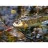 Lingurita oscilanta SMITH Pure Hookless 9.5g, culoare GYO