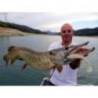 Shad Keitech Swing Impact FAT 7.2cm, Electric Shad 440, 10buc/plic