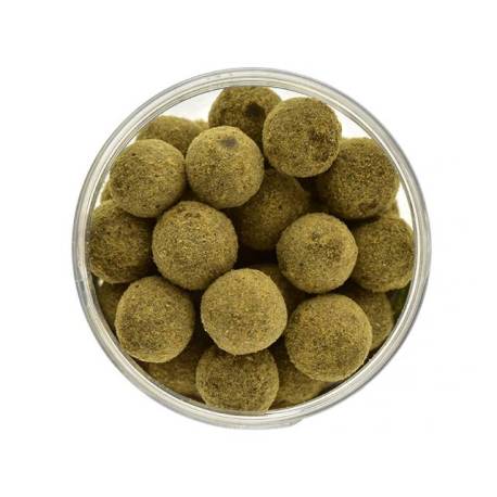 Boilies de carlig special intarit SELECT BAITS Belachan 16mm