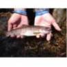 Lingurita rotativa SMITH AR-S Spinner Trout 3.5g, culoare 11 BLNB