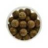 Boilies de carlig critic echilibrat SELECT BAITS Meat & Fish 16mm