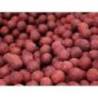Select Baits boilies Meat & Fish + Squid & Octopus & Cranberry