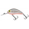 Vobler SALMO RATTLIN HORNET H4.5F 6G GS