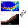 Sonda sonar Garmin Panoptix™ PS21-TM Forward cu montare pupa