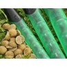 Kutter boilies KORDA 16MM