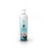 Esenta CAMYLLE pentru SPA ORIENT 500ml