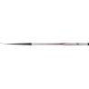 Varga telescopica DAIWA Compass Mobile Carbon 3.00m, 42cm