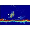 Modul sonar extern RAYMARINE ClearPulse CHIRP CP470, fara sonda