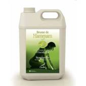 Esenta CAMYLLE pentru bai de aburi cu aroma de eucalipt 5000ml