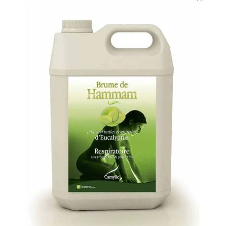 Esenta CAMYLLE pentru bai de aburi cu aroma de eucalipt 5000ml