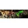 Naluci FISHUP Baffi Fly Crawfish 3.8cm, Orange Pumpkin Black, 10 buc/plic