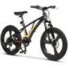 Bicicleta copii MTB CARPAT C20343A roti 20", Negru/Crem