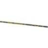 Varga telescopica BRAIN Champ Pole 5m