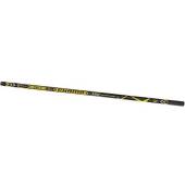 Varga telescopica BRAIN Champ Pole 6m