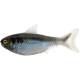 Naluca LIVETARGET SHAD UNRIGGED 14cm, 14g, Green Pearl, 2buc/plic