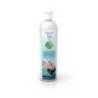 Esenta CAMYLLE pentru SPA cu aroma de eucalipt 500ml