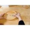 Set pentru pirogravura PEBARO 0269, 30W, 220V, include 2 placi de lemn si 9 varfuri