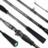 Lanseta SPORTEX BLACK ARROW G4 BAITCAST 2.55m, 100g, 2 tronsoane