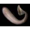 Shad Shad KEITECH Swing Impact Slim 10cm, Crystal Flash 529, 8 buc/plic