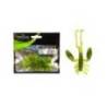 Larva siliconica WIZARD NYMPH Green, 3cm, 10 buc/plic